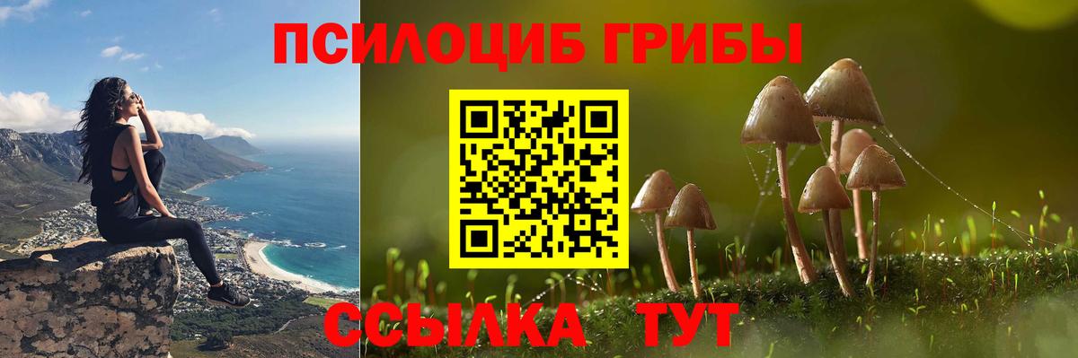Галлюциногенные грибы GOLDEN TEACHER Нижний Новгород